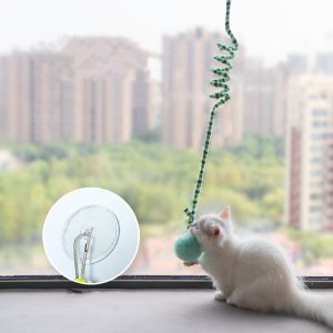 Interactive Cat Teaser Wand: Fun Hanging Toy for Kittens