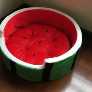 Watermelon Pet Bed