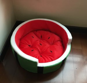 Watermelon Pet Bed