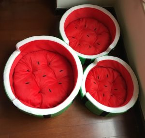 Watermelon Pet Bed