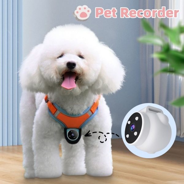 Pets Recorder: Motion Recording Collar with Action Camera