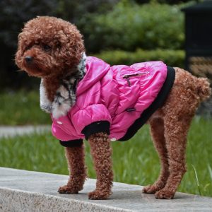 Cotton Padded Pet Jacket with Zipper